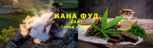 гидра Горняк