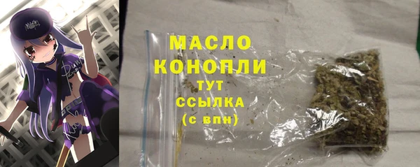 гидра Горняк