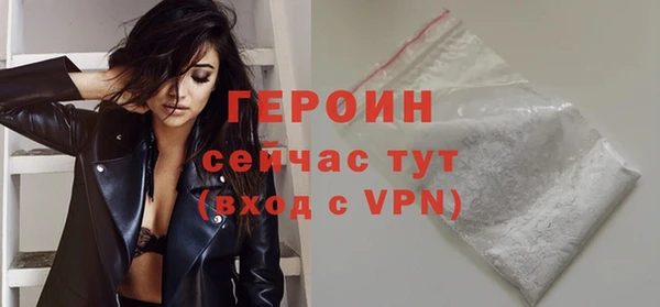 гидра Горняк
