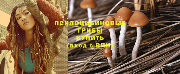 амфетамин Горнозаводск