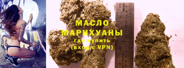 гидра Горняк