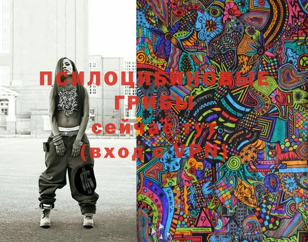 марки lsd Горно-Алтайск