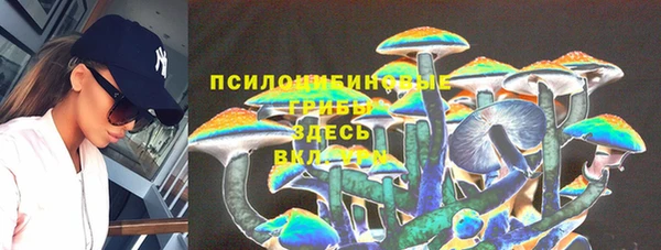 гидра Горняк